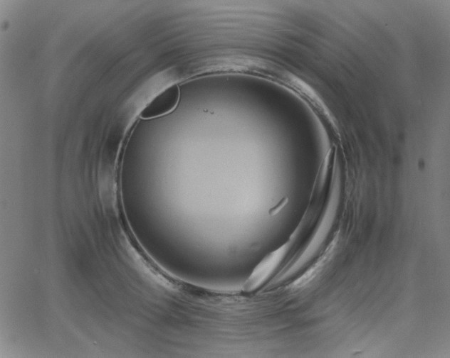 X0000064040802200601271201