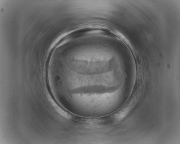 X0000064040803200601271201