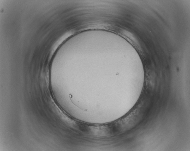 X0000064040804200601271201