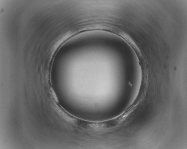 X0000064040805200601271201