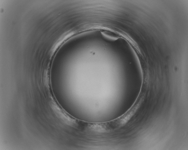 X0000064040806200601271200