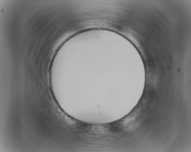 X0000064040807200601271200