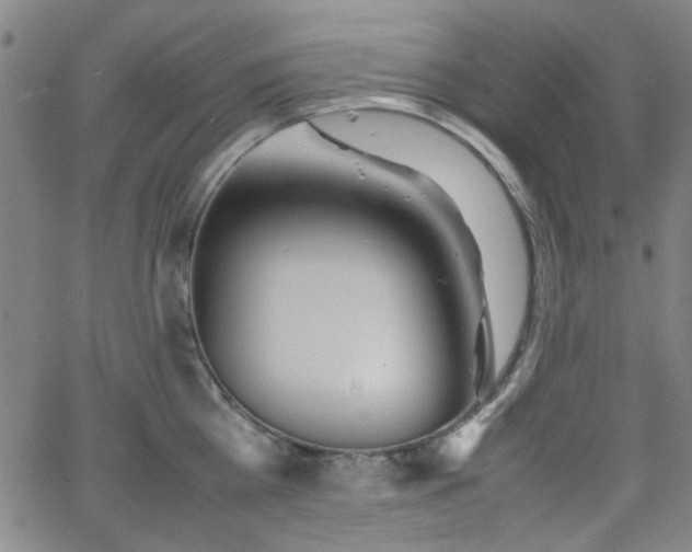 X0000064040809200601271200