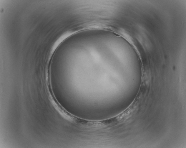 X0000064040811200601271200