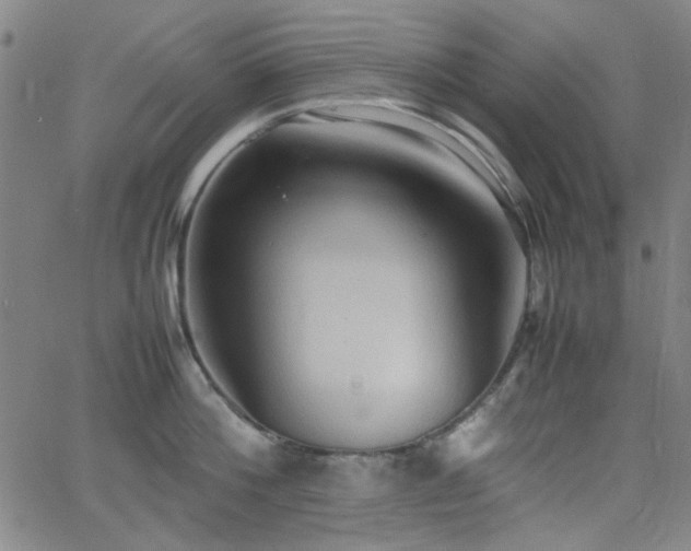 X0000064040812200601271200