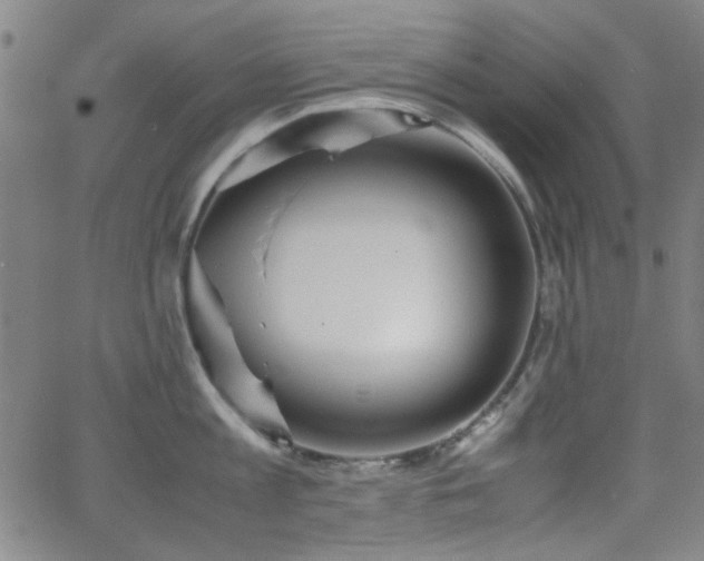 X0000064040813200601271200