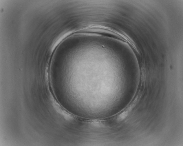 X0000064040814200601271200