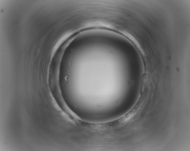 X0000064040815200601271200