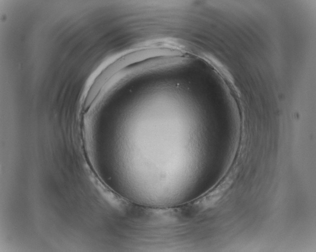 X0000064040816200601271200