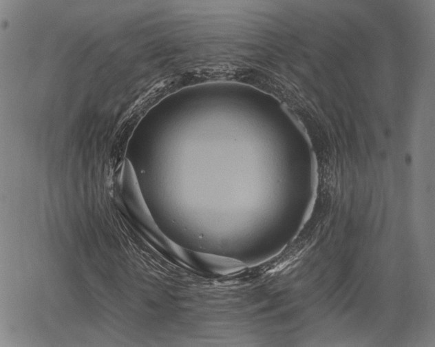 X0000064040818200601271200