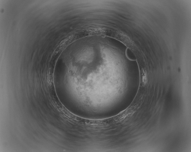 X0000064040819200601271200