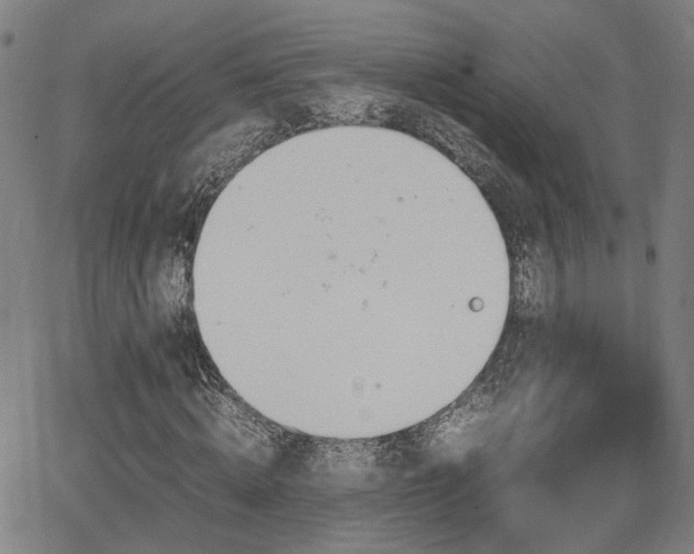 X0000064040820200601271200