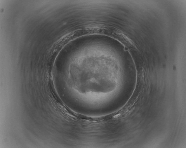 X0000064040821200601271200