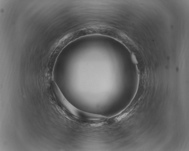 X0000064040822200601271200