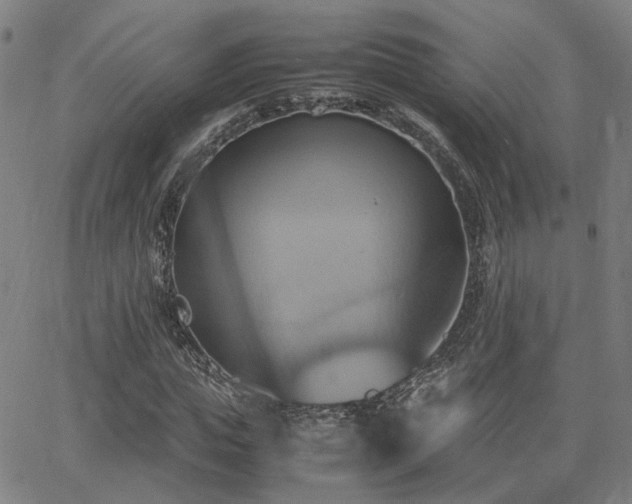 X0000064040823200601271200