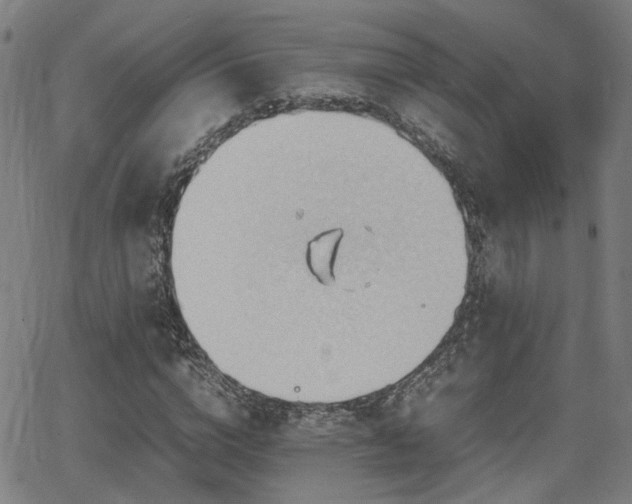 X0000064040824200601271200