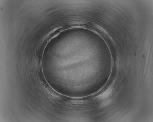 X0000064040825200601271200