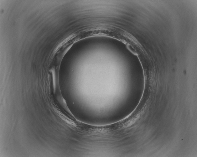 X0000064040826200601271200