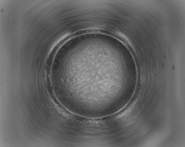 X0000064040827200601271200