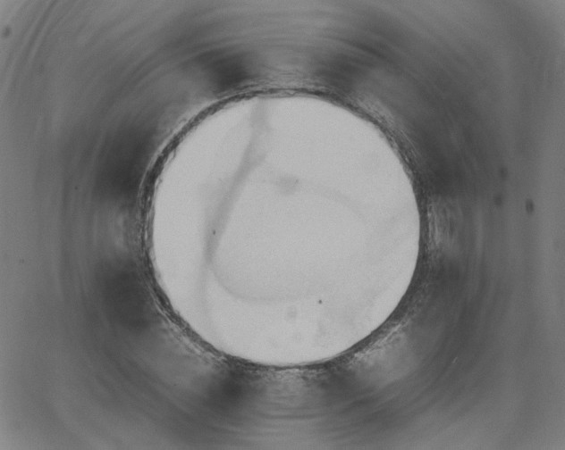 X0000064040828200601271200