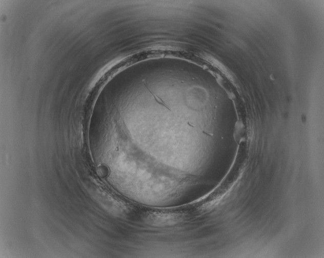 X0000064040829200601271200