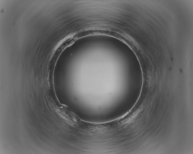 X0000064040830200601271200