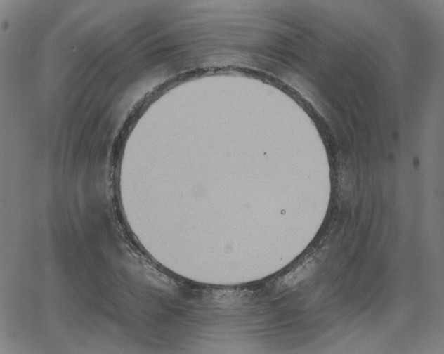 X0000064040832200601271200