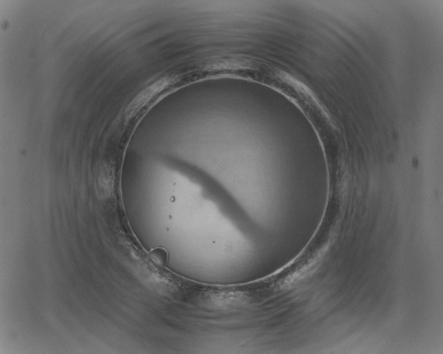 X0000064040833200601271200