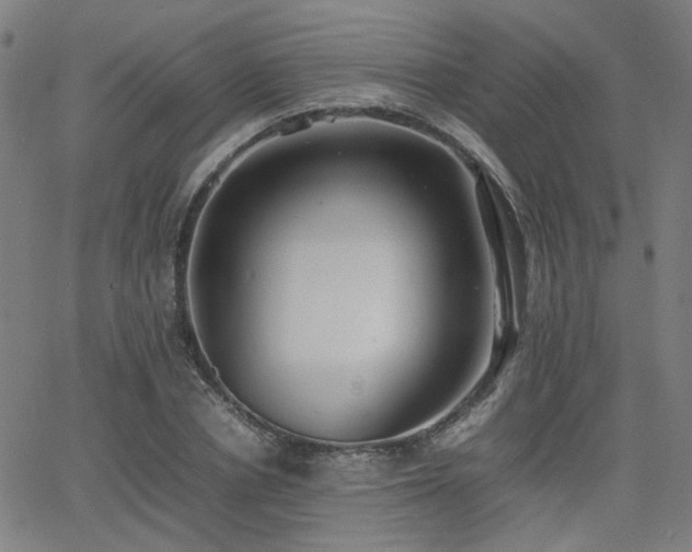 X0000064040834200601271200