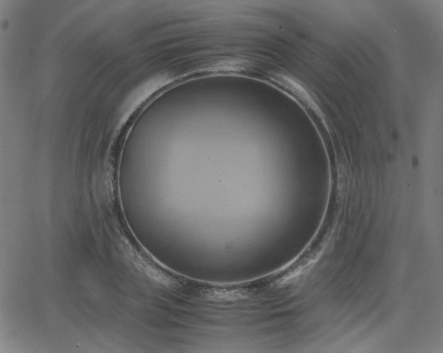 X0000064040835200601271200