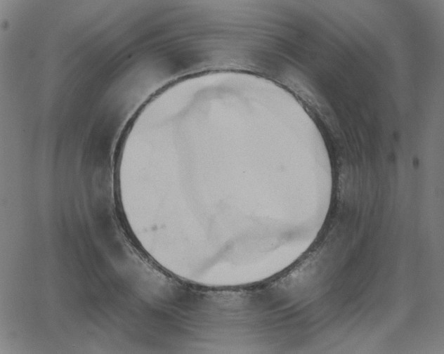 X0000064040836200601271200