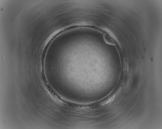 X0000064040837200601271200