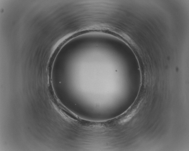 X0000064040838200601271200