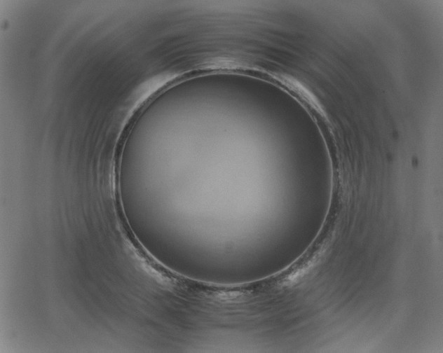 X0000064040839200601271200