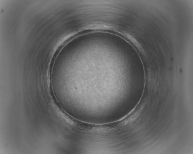 X0000064040840200601271200