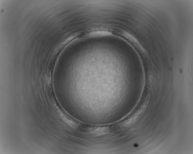 X0000064040841200601271200