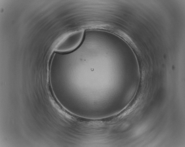 X0000064040844200601271200