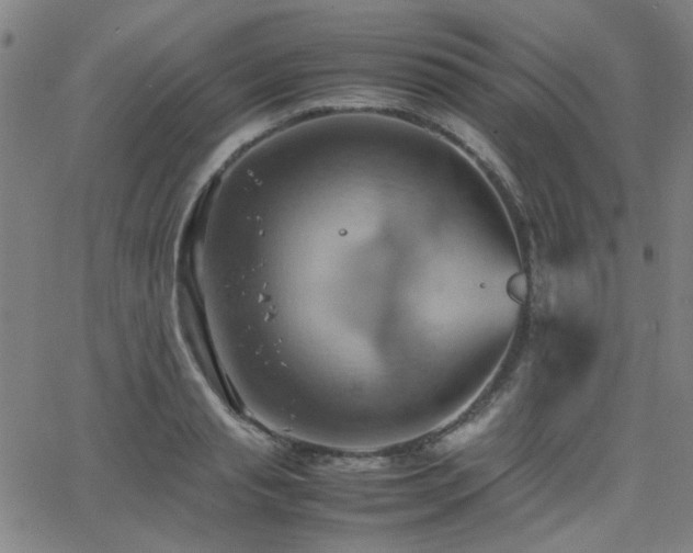 X0000064040845200601271200