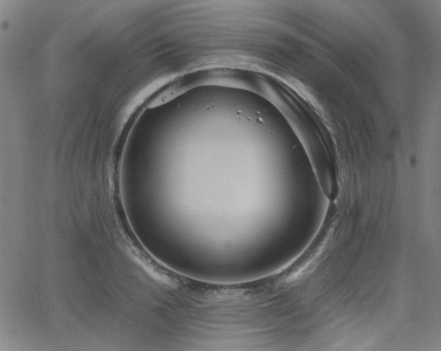 X0000064040846200601271200