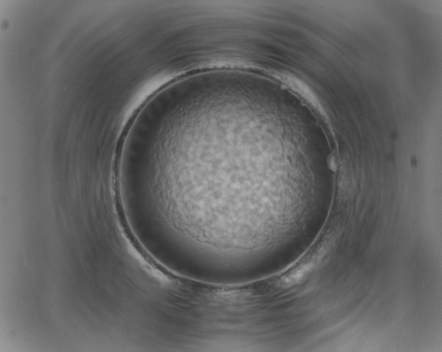 X0000064040847200601271200