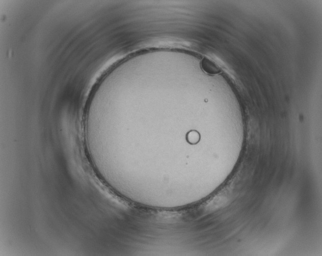 X0000064040848200601271200