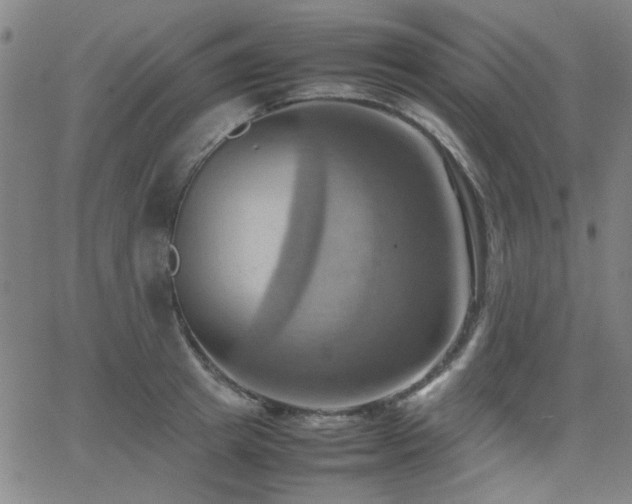 X0000064040849200601271200