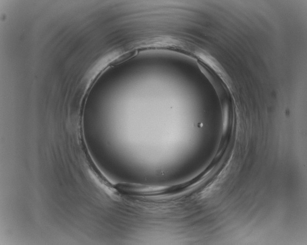 X0000064040850200601271200