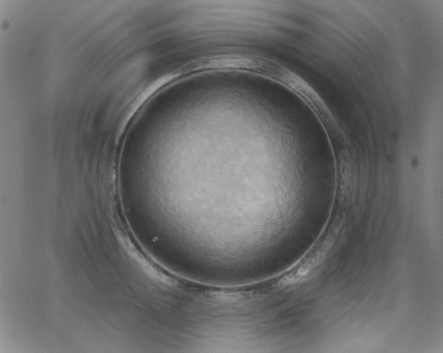 X0000064040852200601271200