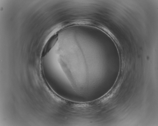 X0000064040853200601271200