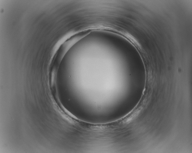 X0000064040854200601271200