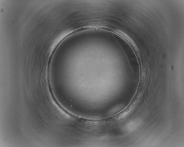 X0000064040855200601271200