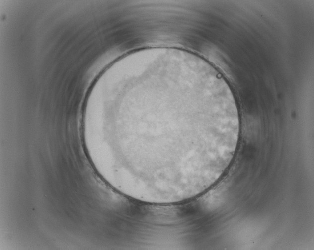 X0000064040856200601271200