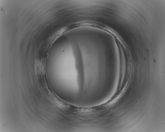 X0000064040857200601271200