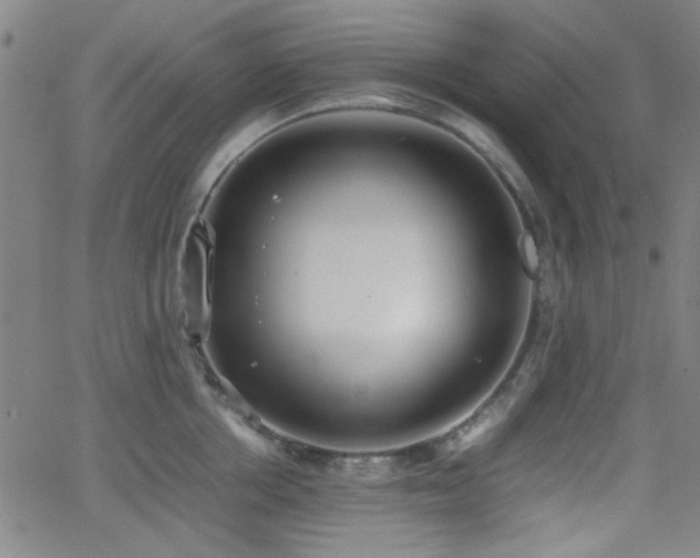 X0000064040858200601271200